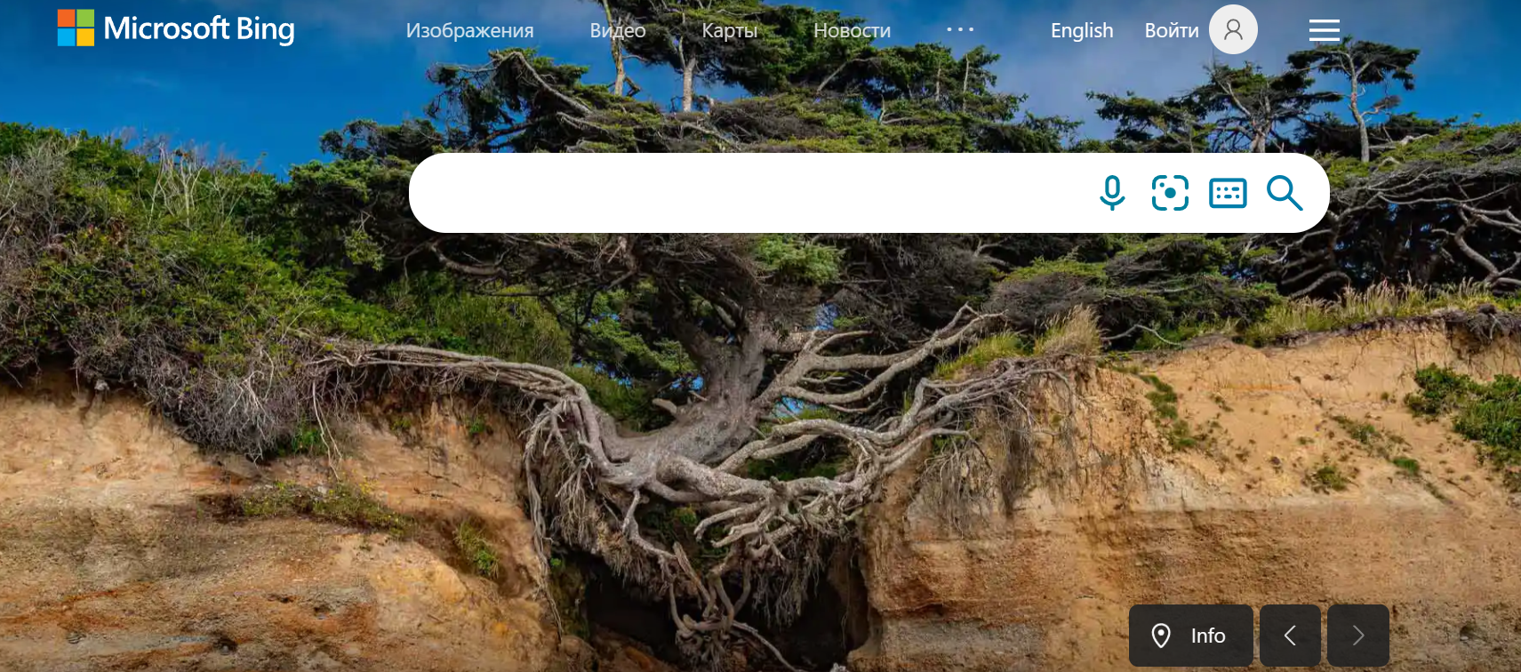 Поисковая система Bing
